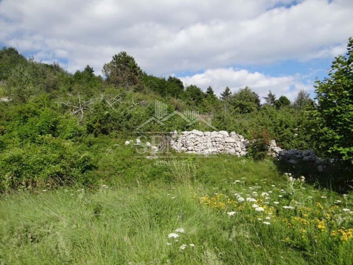 Land For sale - ISTARSKA  LUPOGLAV 