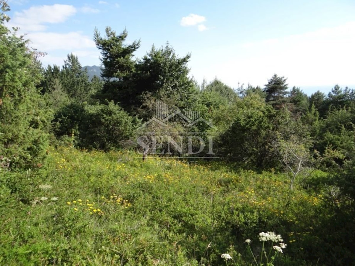 Land For sale - ISTARSKA  LUPOGLAV 