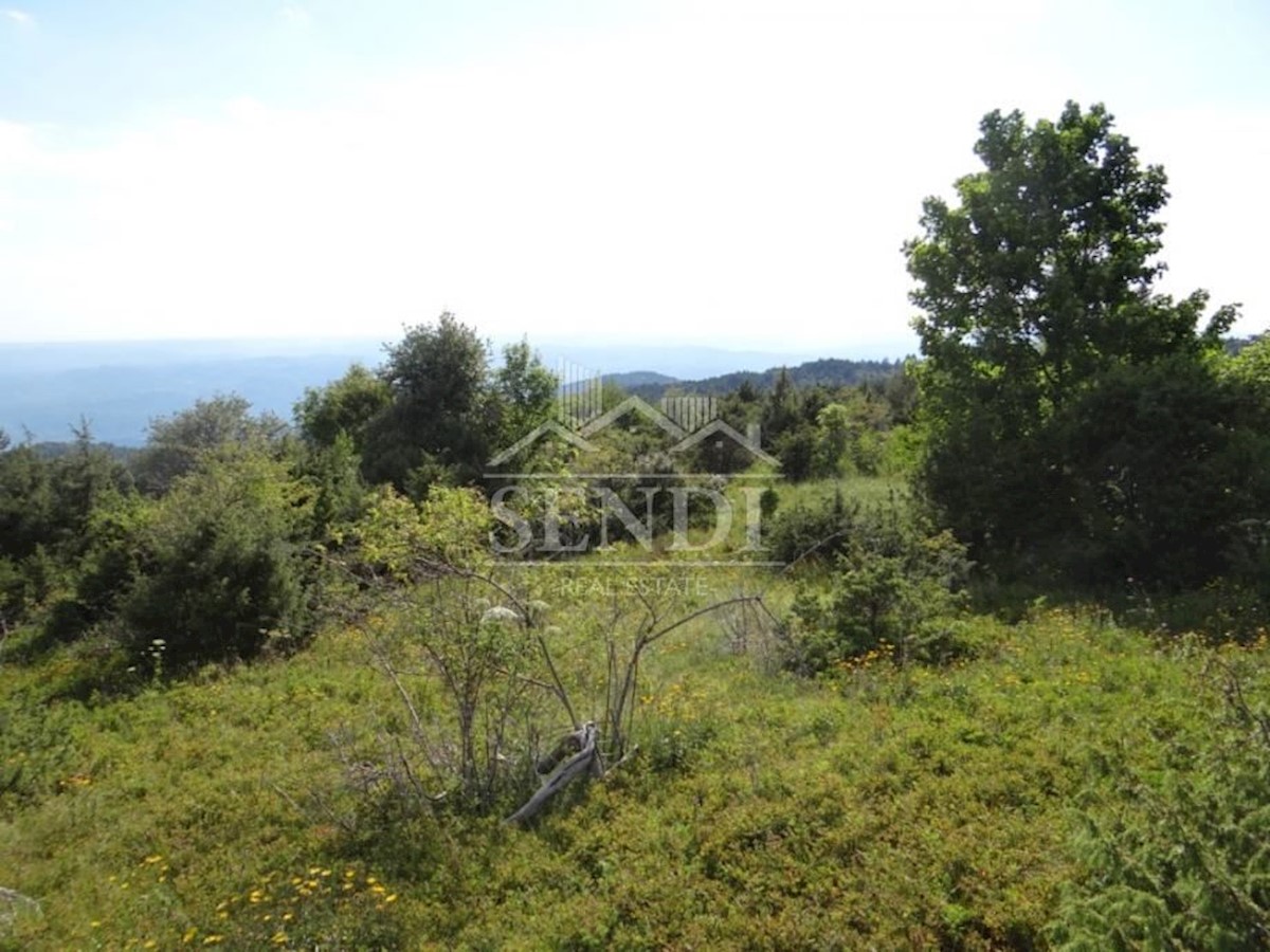 Land For sale - ISTARSKA  LUPOGLAV 