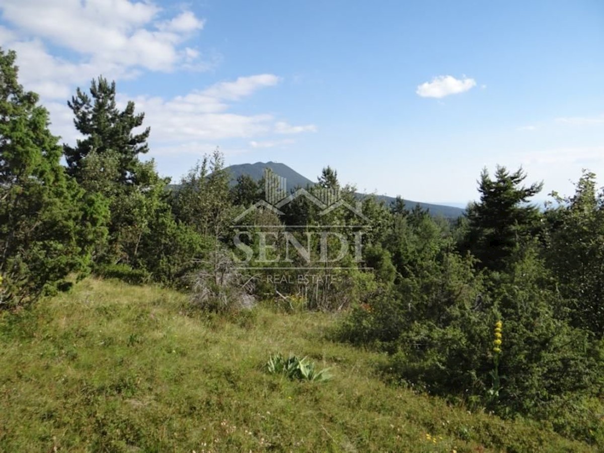 Land For sale - ISTARSKA  LUPOGLAV 