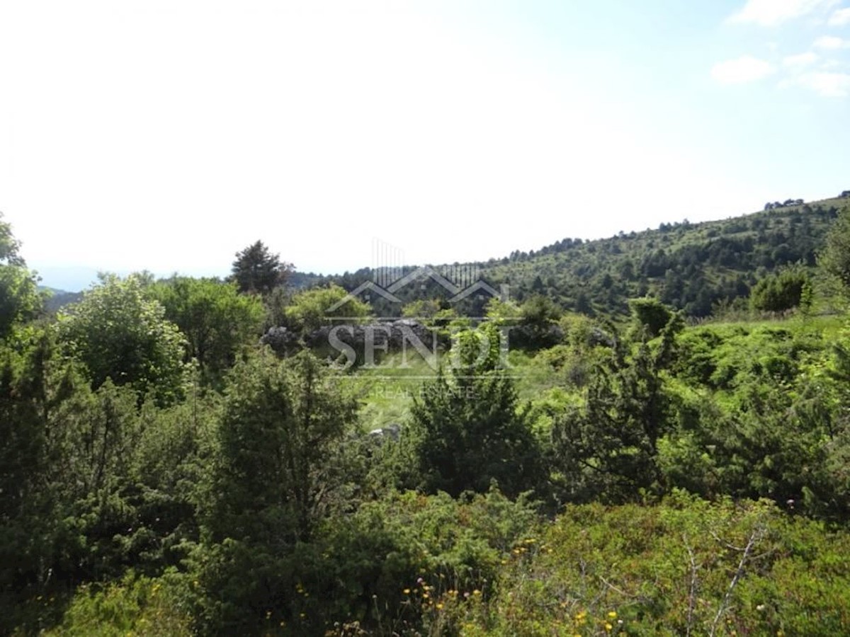 Land For sale - ISTARSKA  LUPOGLAV 