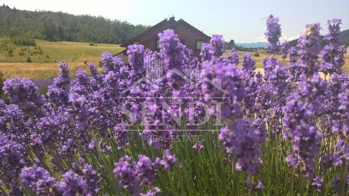 Dům Na prodej - PRIMORSKO-GORANSKA  MRKOPALJ 