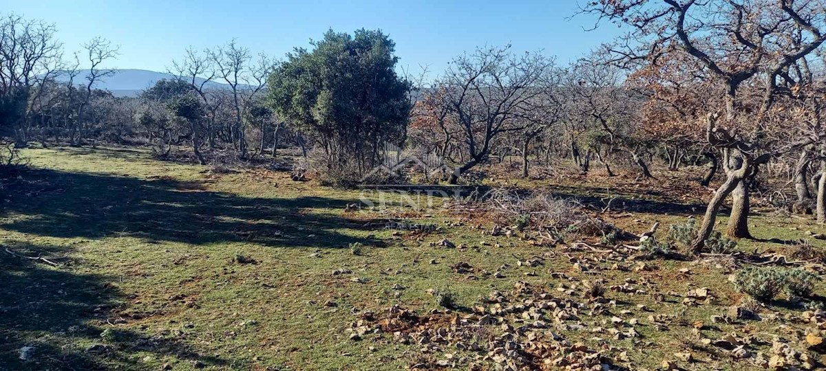 Terreno In vendita - PRIMORSKO-GORANSKA  MALI LOŠINJ 