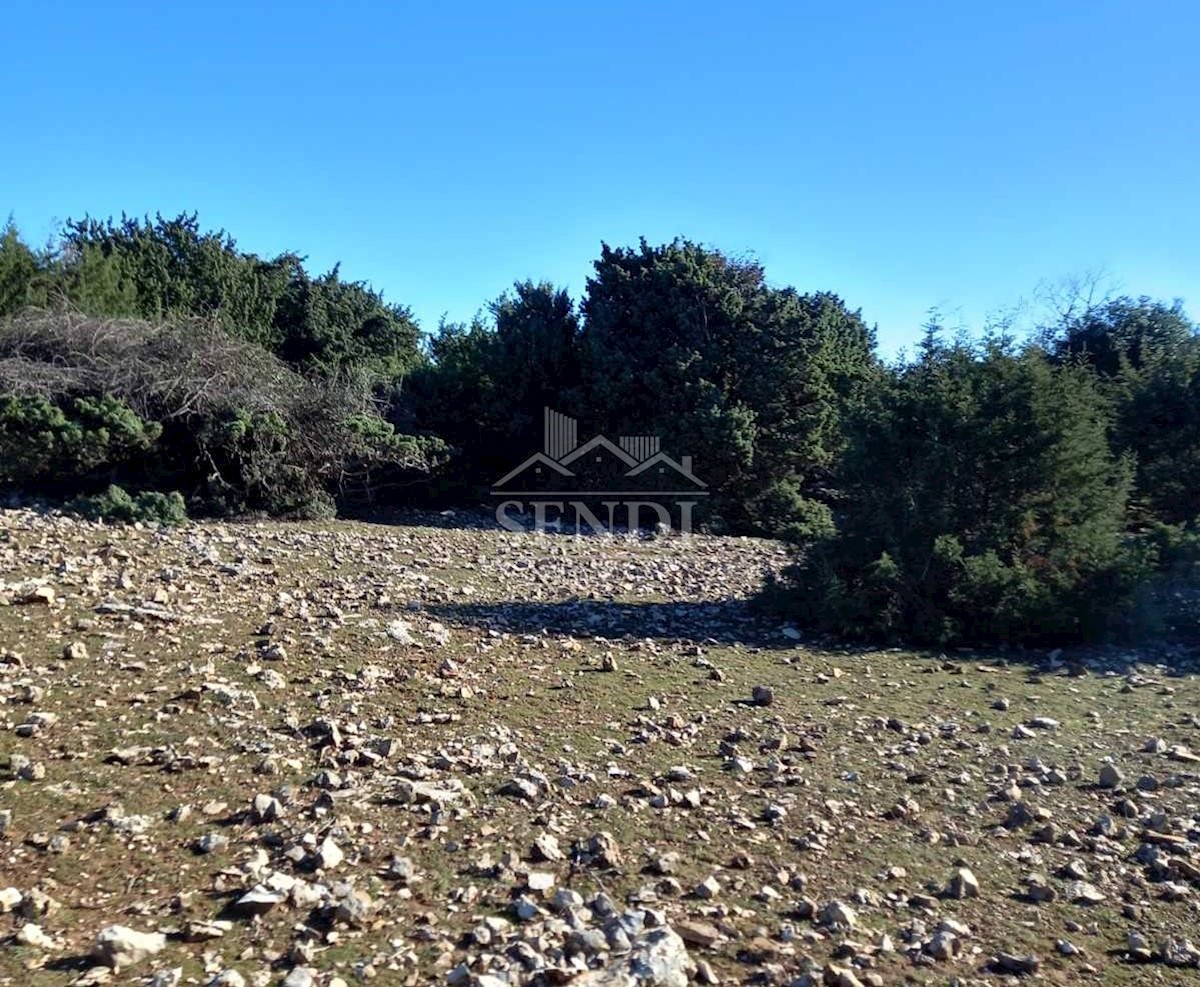 Land For sale - PRIMORSKO-GORANSKA  MALI LOŠINJ 