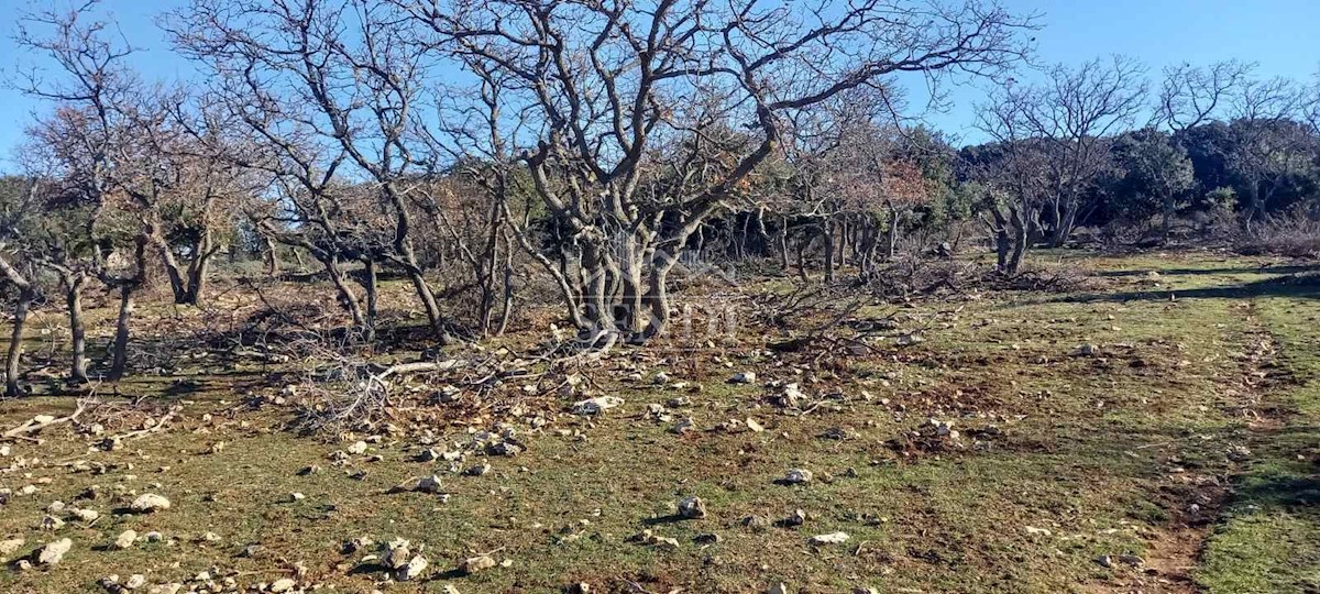 Grundstück Zu verkaufen - PRIMORSKO-GORANSKA  MALI LOŠINJ 