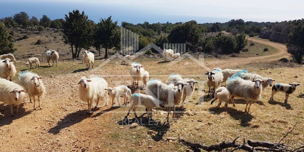 Terreno In vendita STIVAN