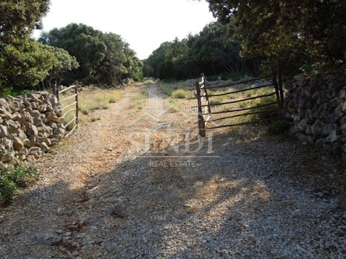 Kuća Na prodaju - PRIMORSKO-GORANSKA  MALI LOŠINJ 