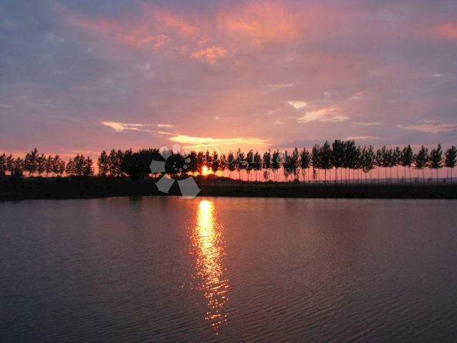 Dom Na sprzedaż - Osječko-baranjska Čeminac - foto 5/11