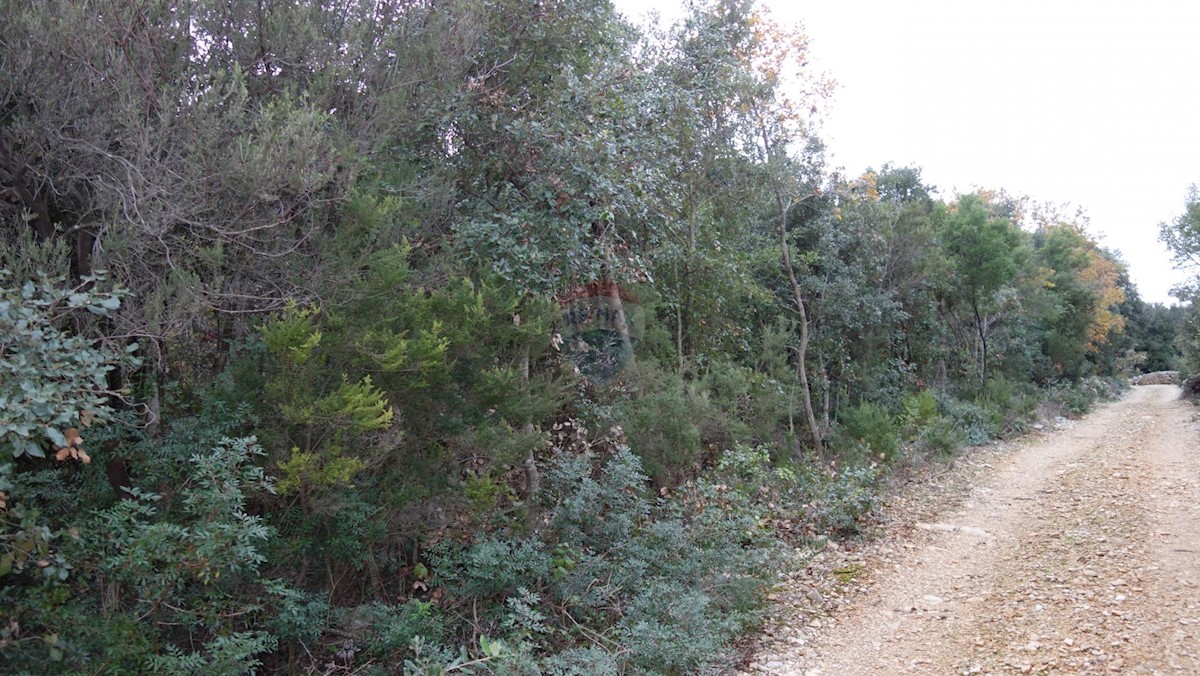 Terreno In vendita - ISTARSKA  MARČANA 