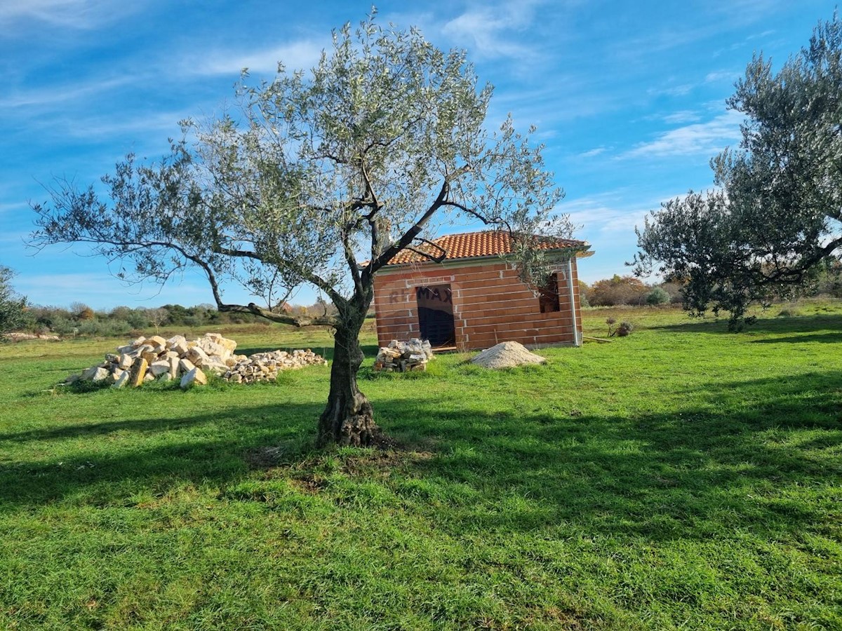 Terrain À vendre - ISTARSKA  LIŽNJAN 