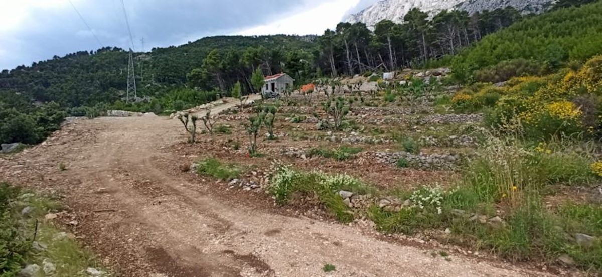 Kuća Na prodaju - SPLITSKO-DALMATINSKA  MAKARSKA 