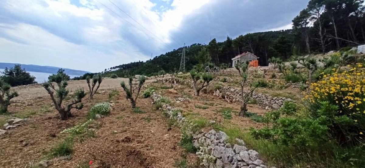 Kuća Na prodaju - SPLITSKO-DALMATINSKA  MAKARSKA 