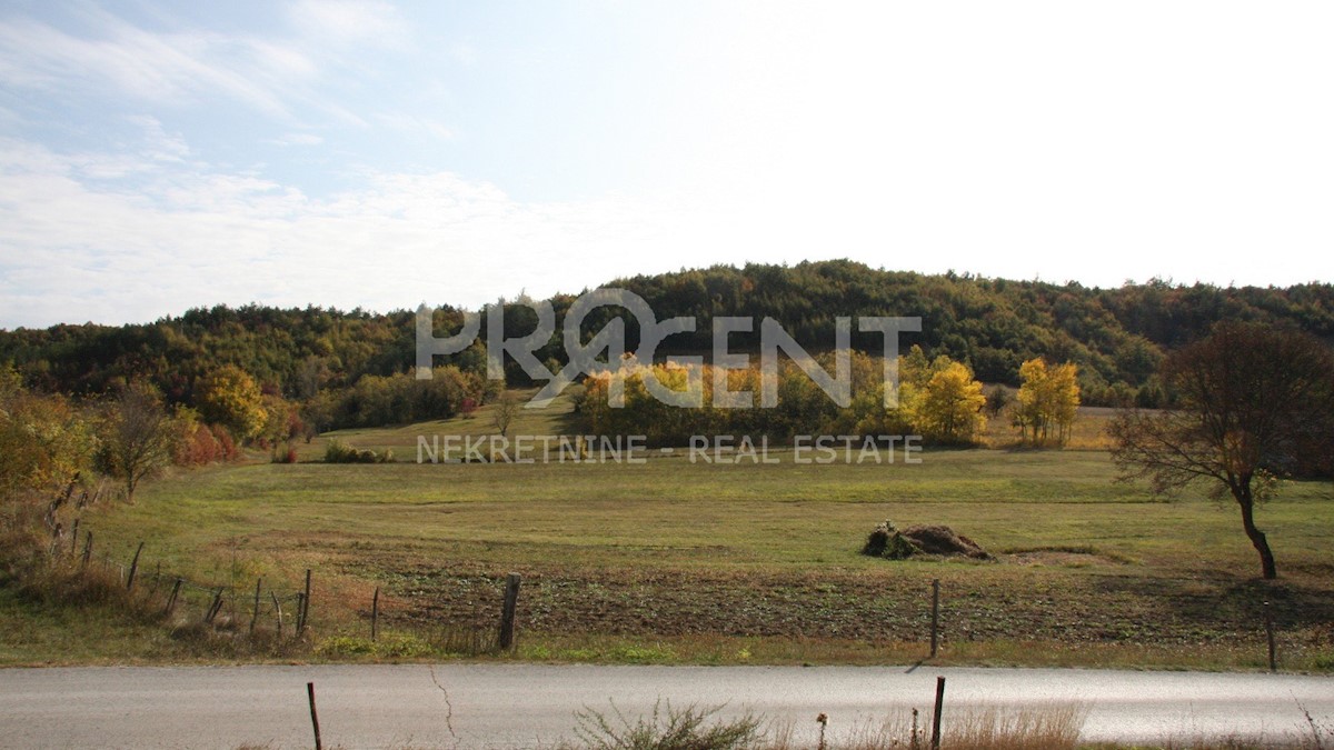 Land For sale LESIŠĆINA