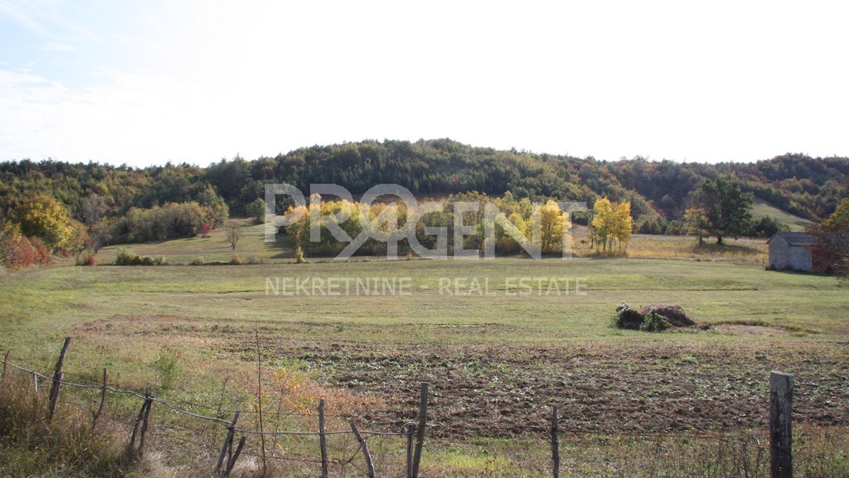 Land For sale - ISTARSKA  LUPOGLAV 