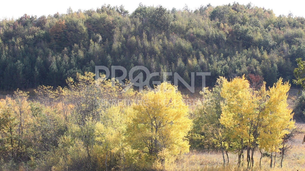 Land For sale - ISTARSKA  LUPOGLAV 