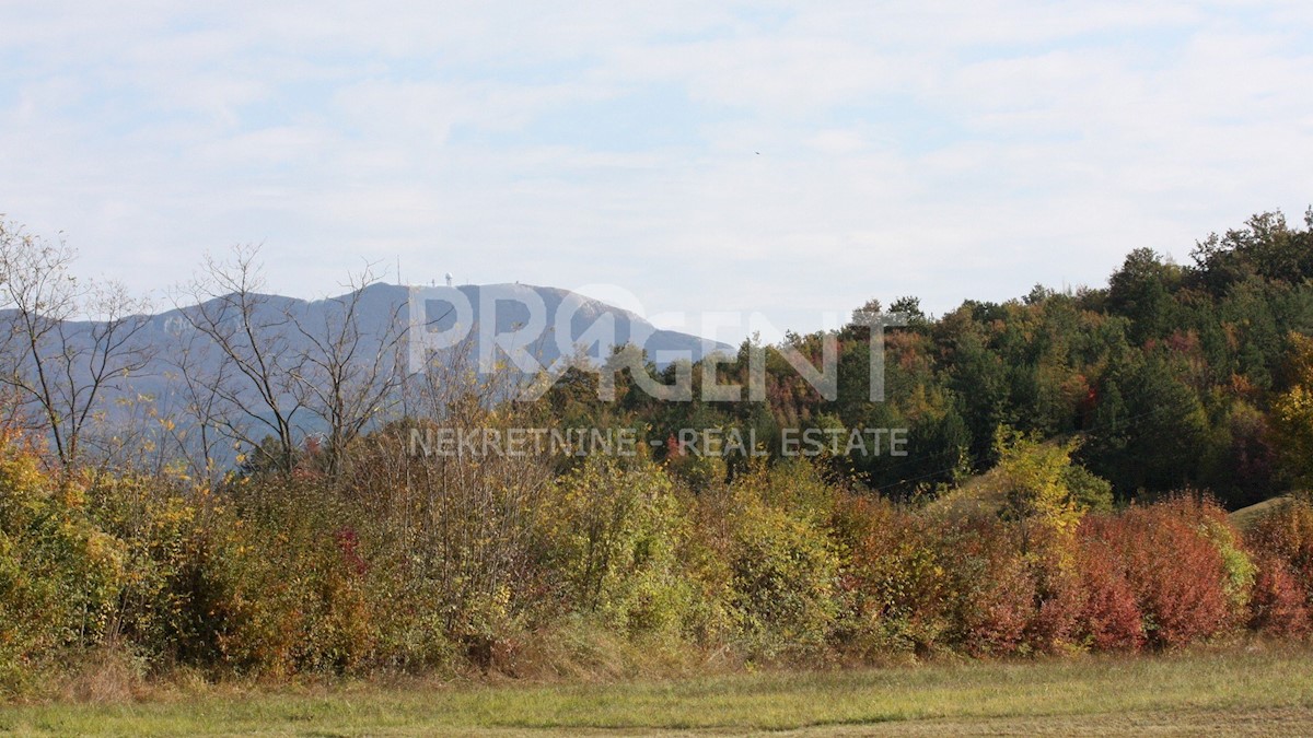 Land For sale - ISTARSKA  LUPOGLAV 