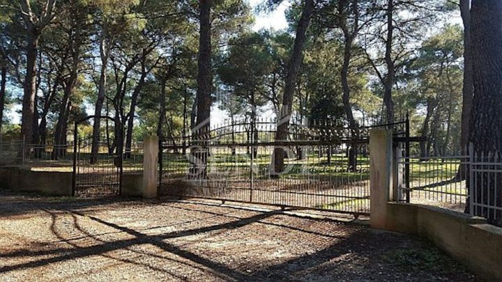 Parcela na predaj 12050 m² – Rovinj