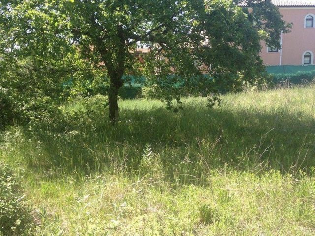 Działka Na sprzedaż - Istarska Višnjan - foto 3/10