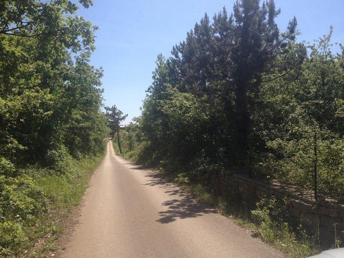 Parcela Naprodaj - ISTARSKA  Višnjan