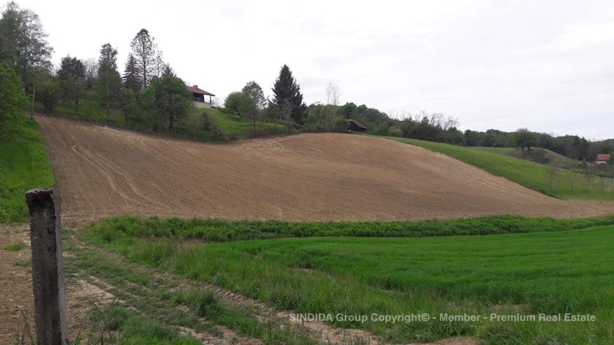 Land For sale - KRAPINSKO-ZAGORSKA  TUHELJ 