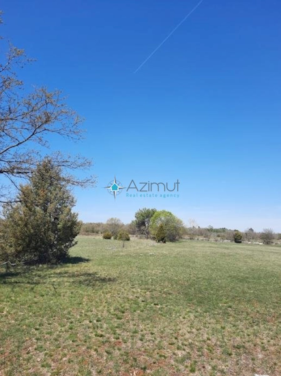 Land For sale - ISTARSKA  MARČANA 