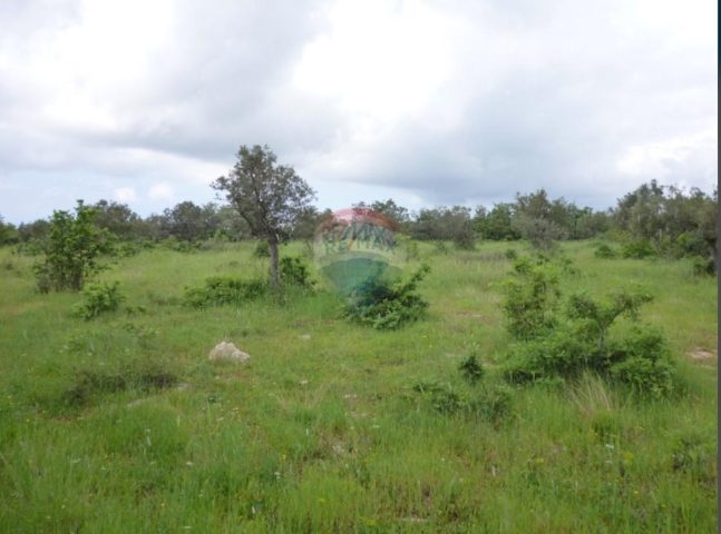 Land for sale 1300 m² – Medančići