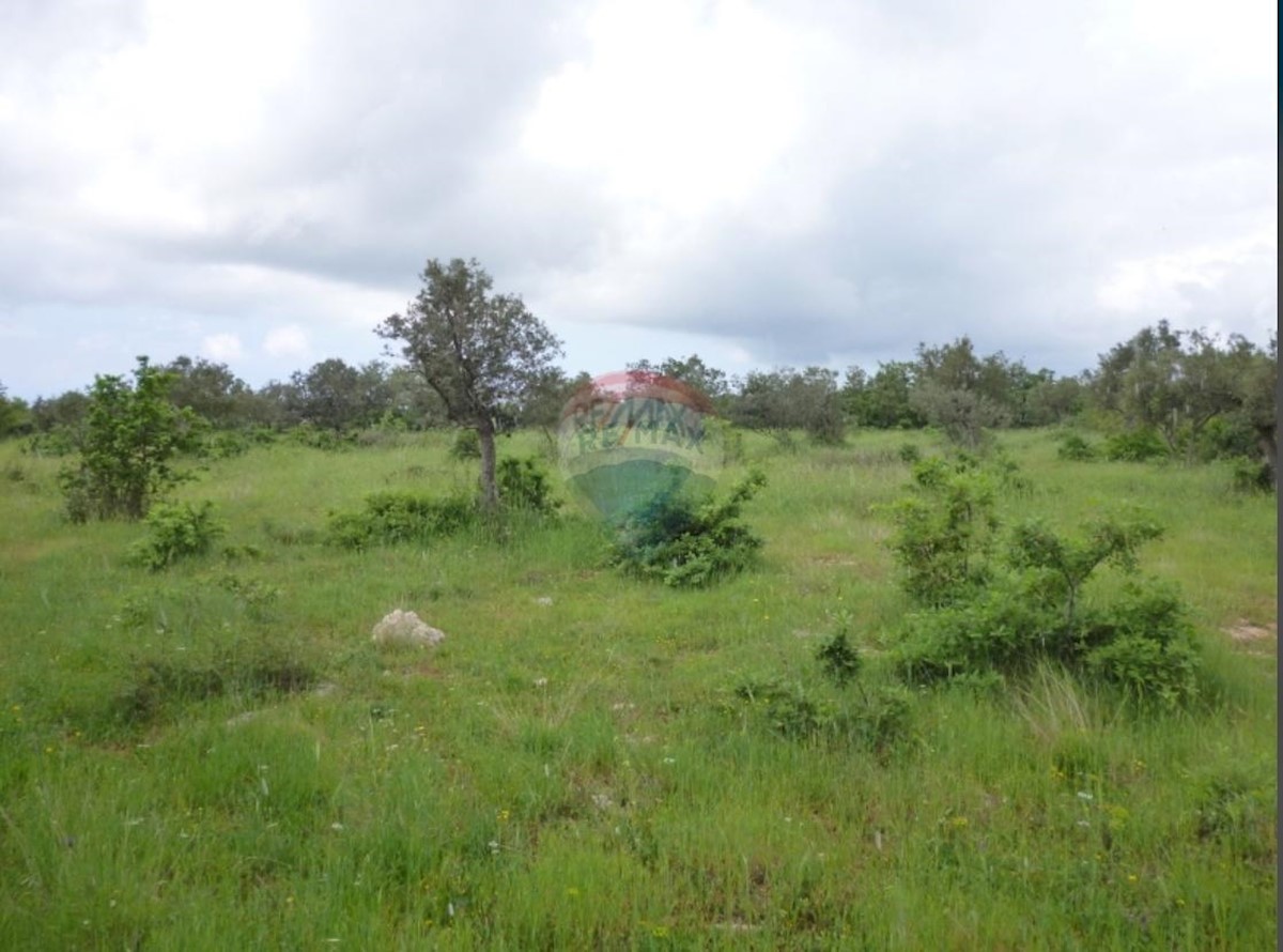 Land For sale - Istarska Barban - foto 1/2