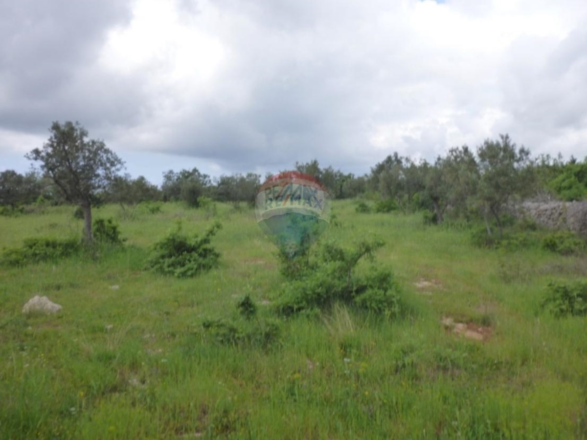 Land For sale - Istarska Barban - foto 2/2