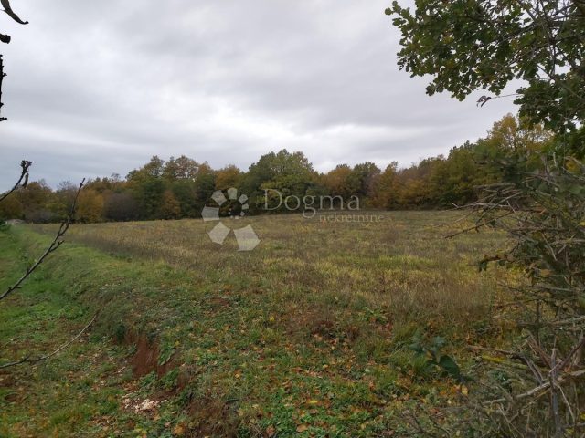 Land for sale 6411 m² – Barban