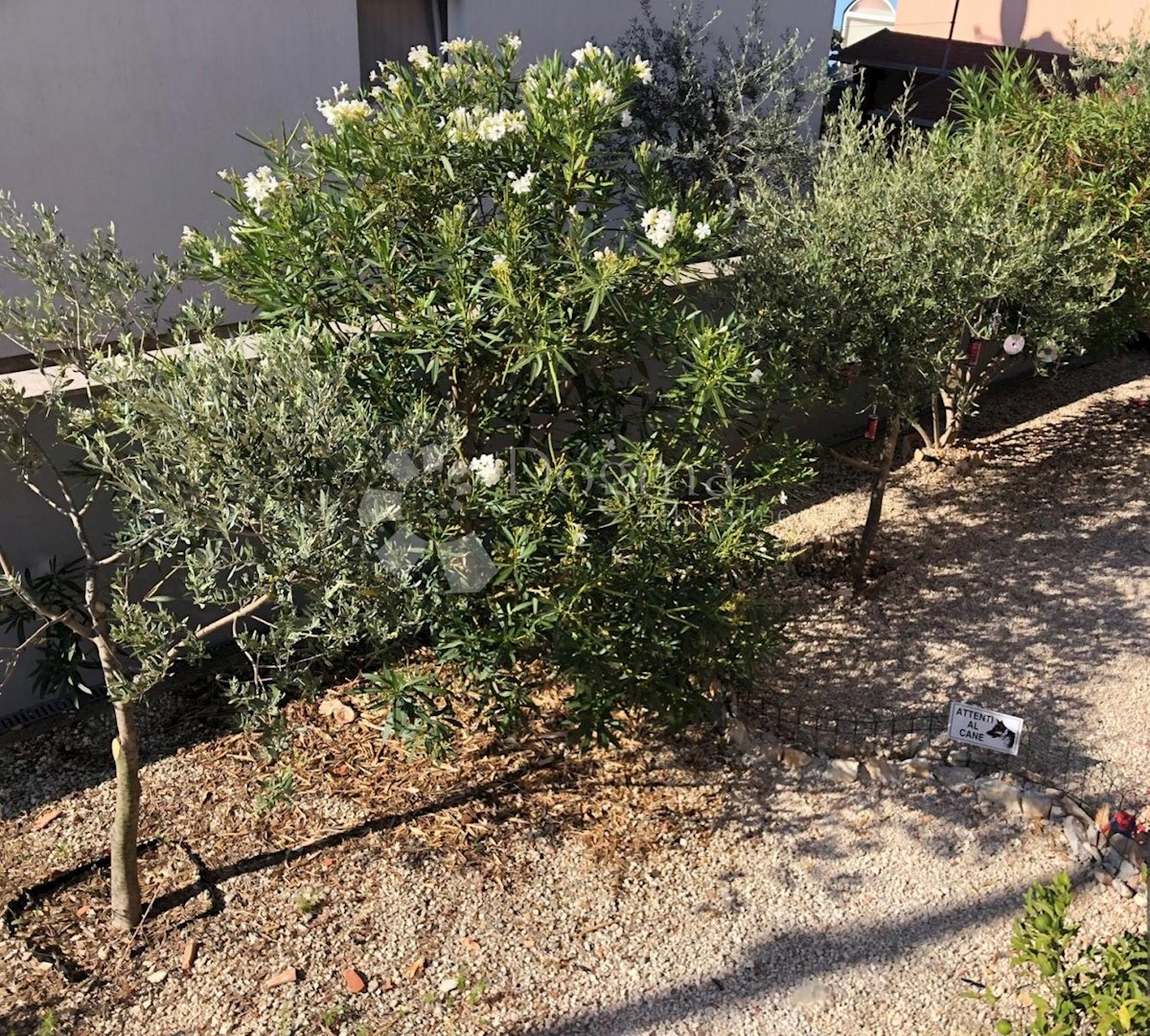 Appartamento In vendita - ISTARSKA  FAŽANA 