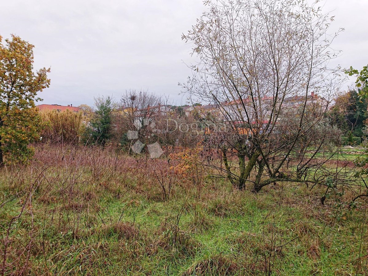 Land For sale - Istarska Pula - foto 4/4