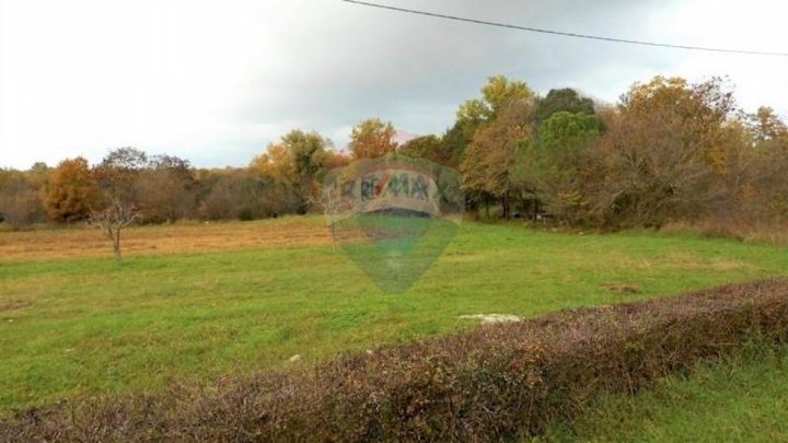 Zemljište na prodaju 9568 m² – Vrsar