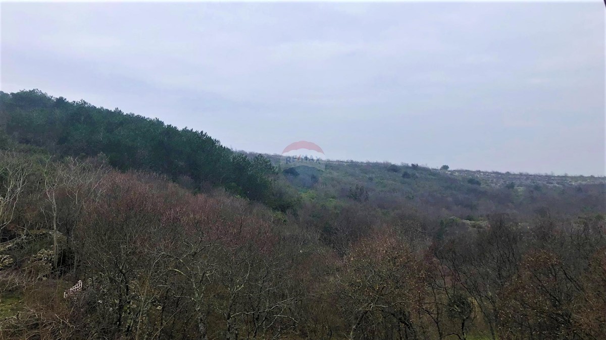 Terrain À vendre - ISTARSKA  Raša
