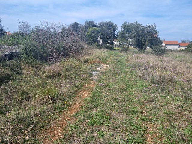 Pozemok na predaj 2913 m² – Pula