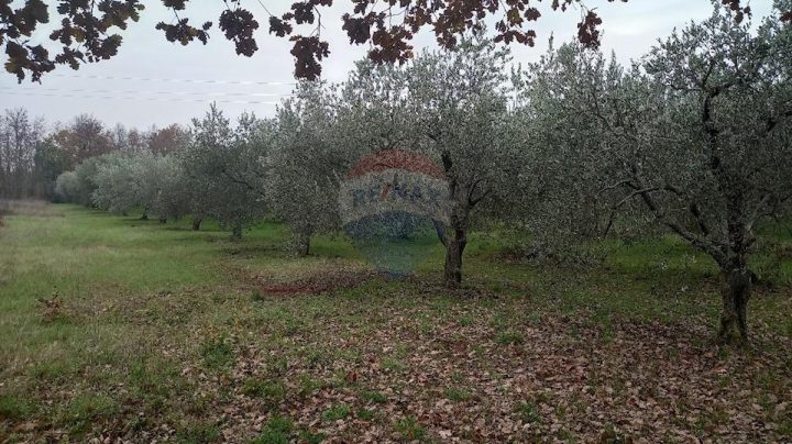 Land for sale 5793 m² – Pula