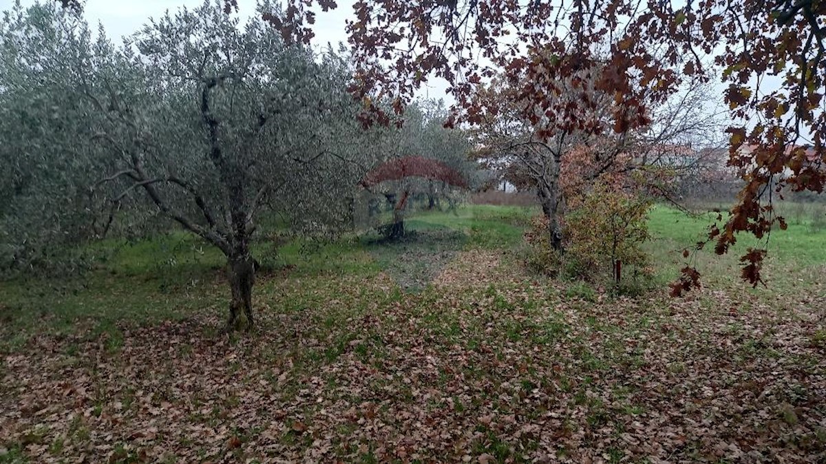 Terreno In vendita - ISTARSKA  PULA 