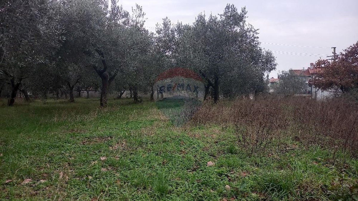 Terreno In vendita - ISTARSKA  PULA 