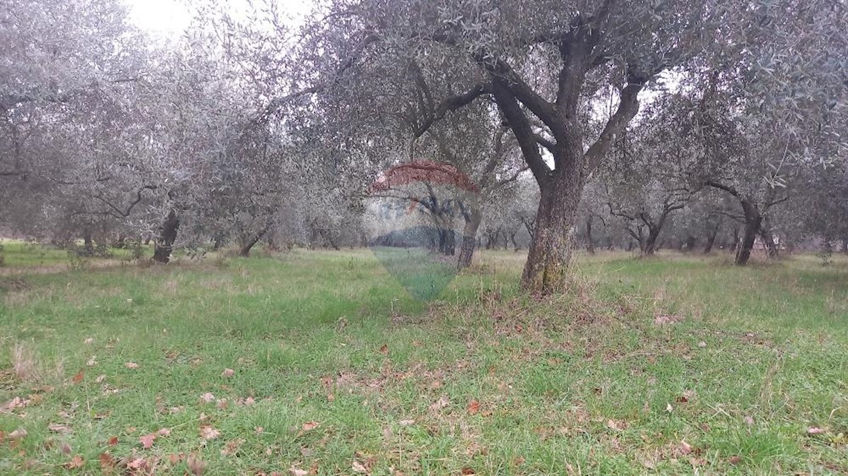 Terreno In vendita - ISTARSKA  PULA 
