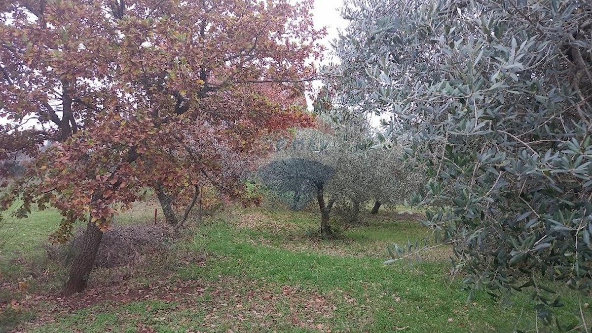 Terreno In vendita - ISTARSKA  PULA 