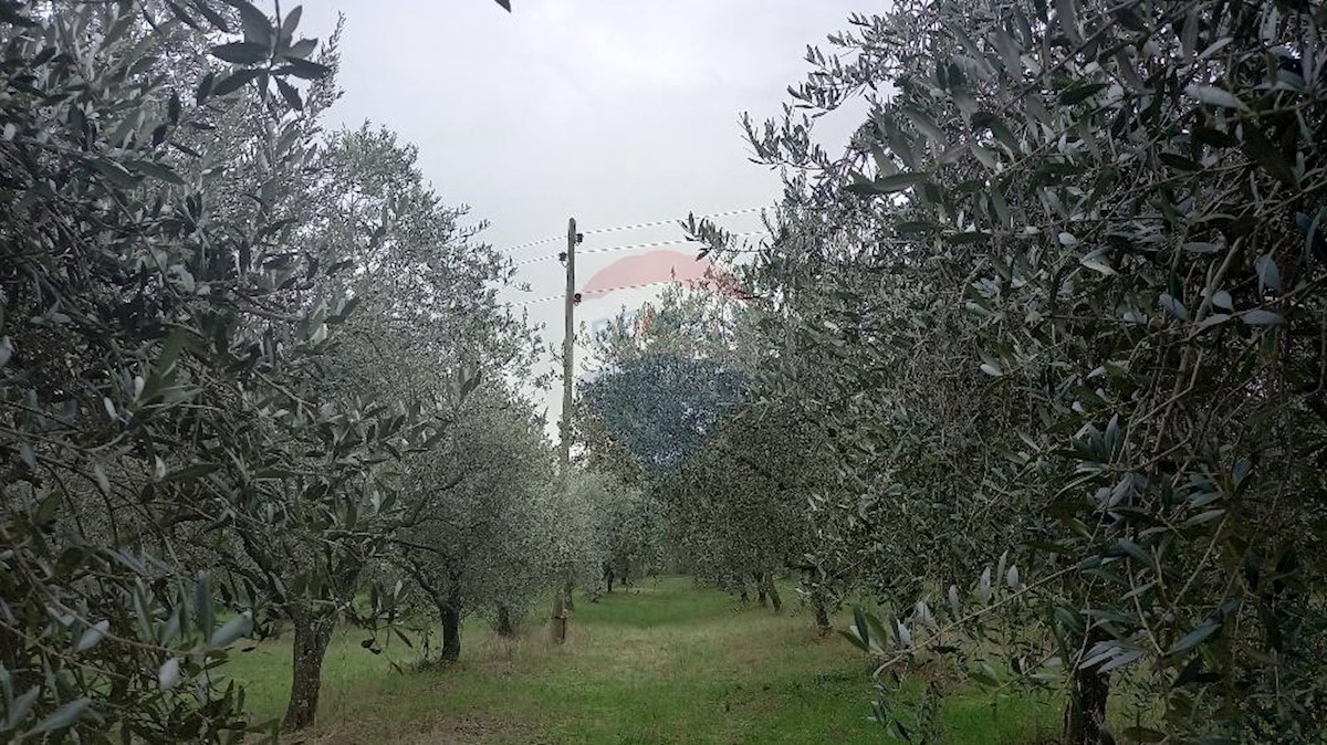 Terreno In vendita - ISTARSKA  PULA 