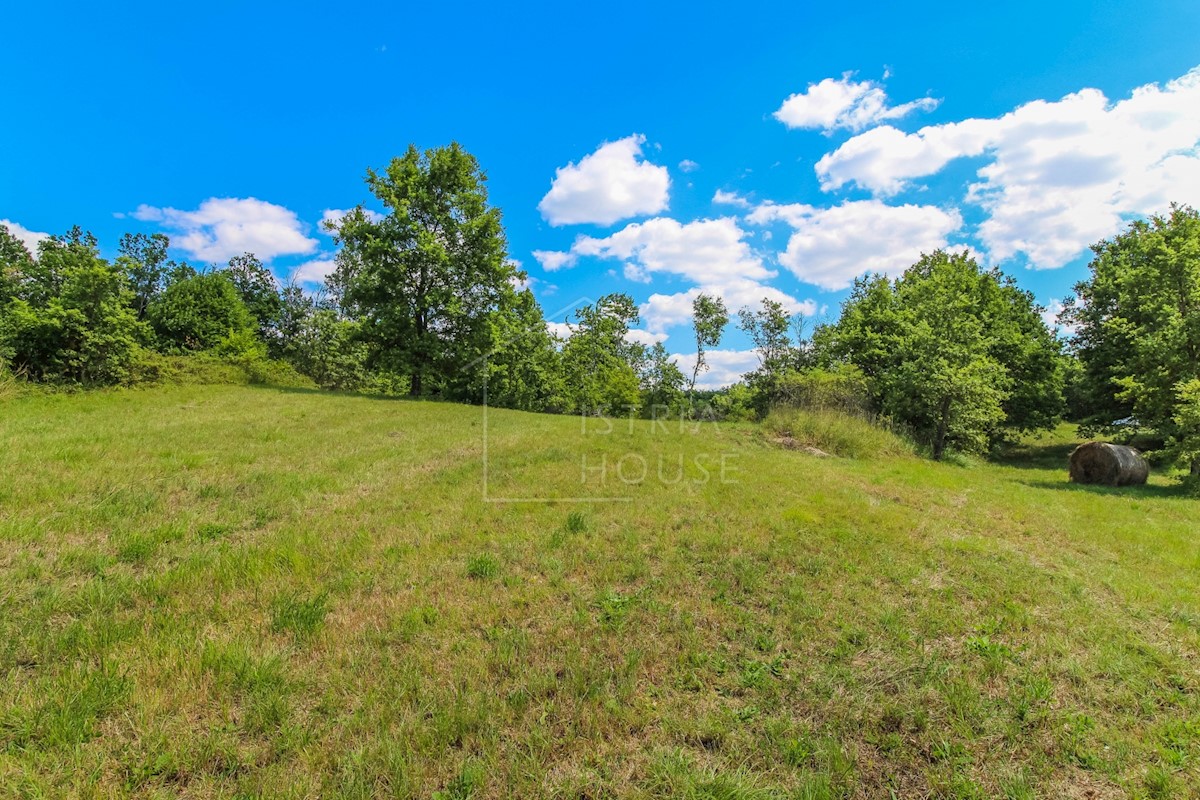 Terreno In vendita - ISTARSKA  OPRTALJ 