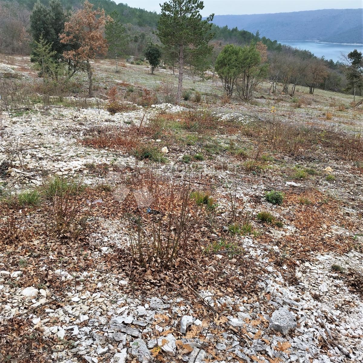 Land For sale - ISTARSKA  RAŠA 