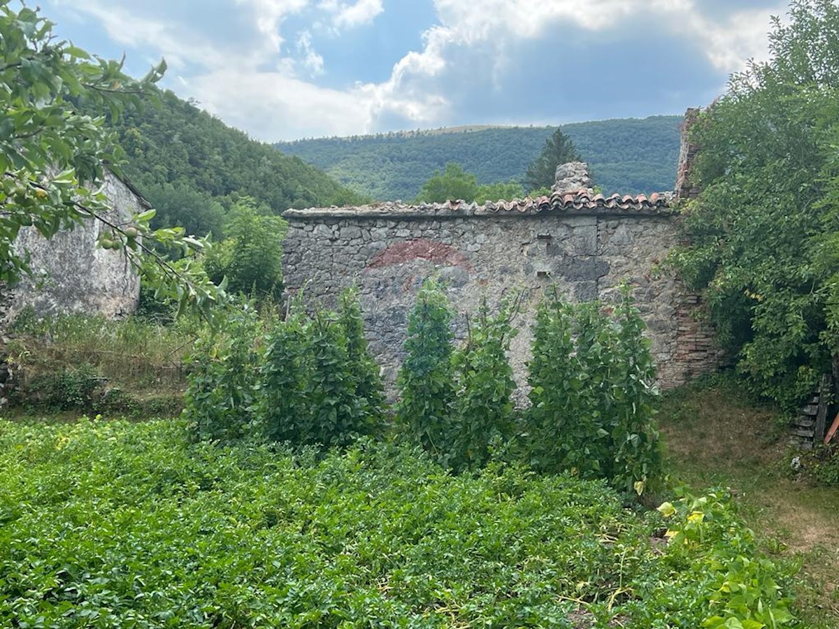 Hiša Naprodaj - ISTARSKA  Lanišće