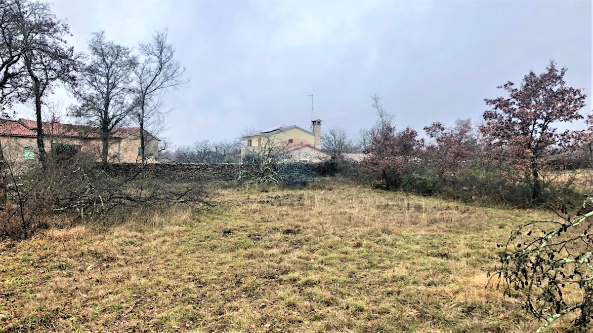 Land For sale - ISTARSKA  GROŽNJAN 
