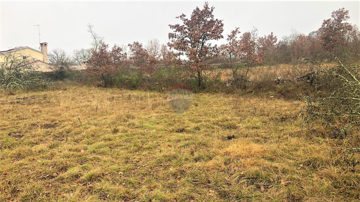 Land For sale - ISTARSKA  GROŽNJAN 