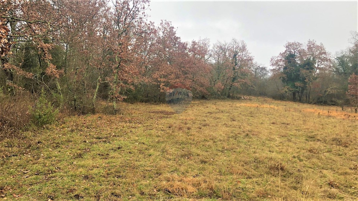 Land For sale - ISTARSKA  GROŽNJAN 