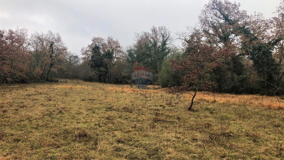 Land For sale - ISTARSKA  GROŽNJAN 