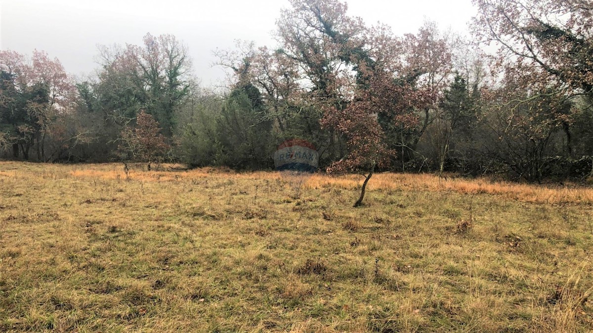 Land For sale - ISTARSKA  GROŽNJAN 