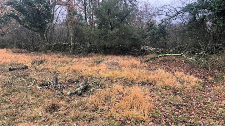Terreno In vendita - Istarska Grožnjan - foto 5/8