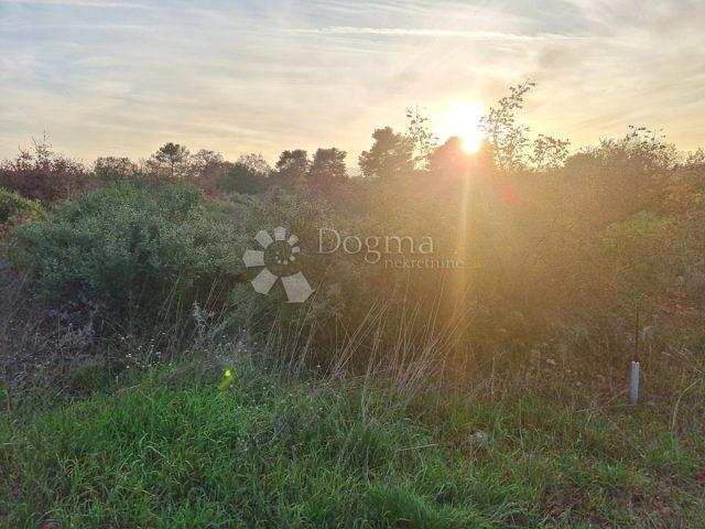 Grundstück Zu verkaufen - Zadarska Biograd Na Moru - foto 4/6
